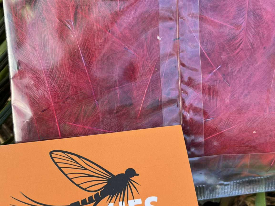 Plumes de CDC Ultra Sélectionnées JUMBO XXL - Rouge Bordeaux