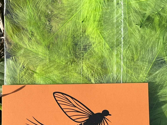 Plumes de CDC Ultra Sélectionnées JUMBO XXL - Olive Pale