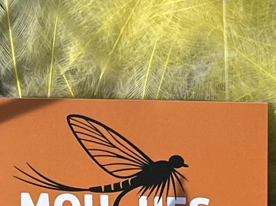 Plumes de CDC Ultra Sélectionnées JUMBO XXL - Jaune