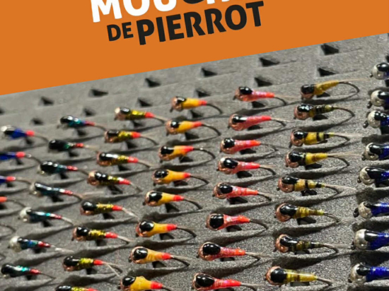 Boîte 96 Perdigones