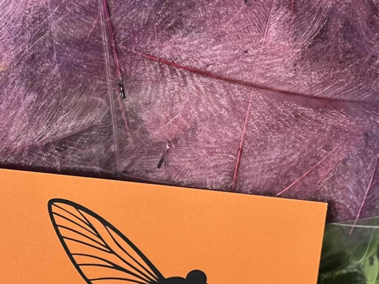 Plumes de CDC Ultra Sélectionnées JUMBO XXL - Lilas