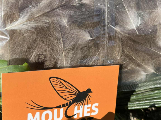 plumes CDC  JUMBO XXL nat gris  claire