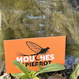 Plumes de CDC Ultra Sélectionnées JUMBO XXL - Olive