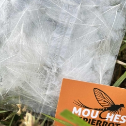 Plumes de CDC Ultra Sélectionnées JUMBO XXL - Nat. Blanc