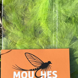 Plumes de CDC Ultra Sélectionnées JUMBO XXL - Olive Pale