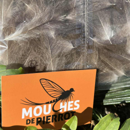 plumes CDC  JUMBO XXL nat gris  claire